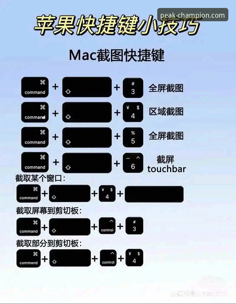冠军娱乐平台新手教程：从零开始掌握登录入口与使用技巧